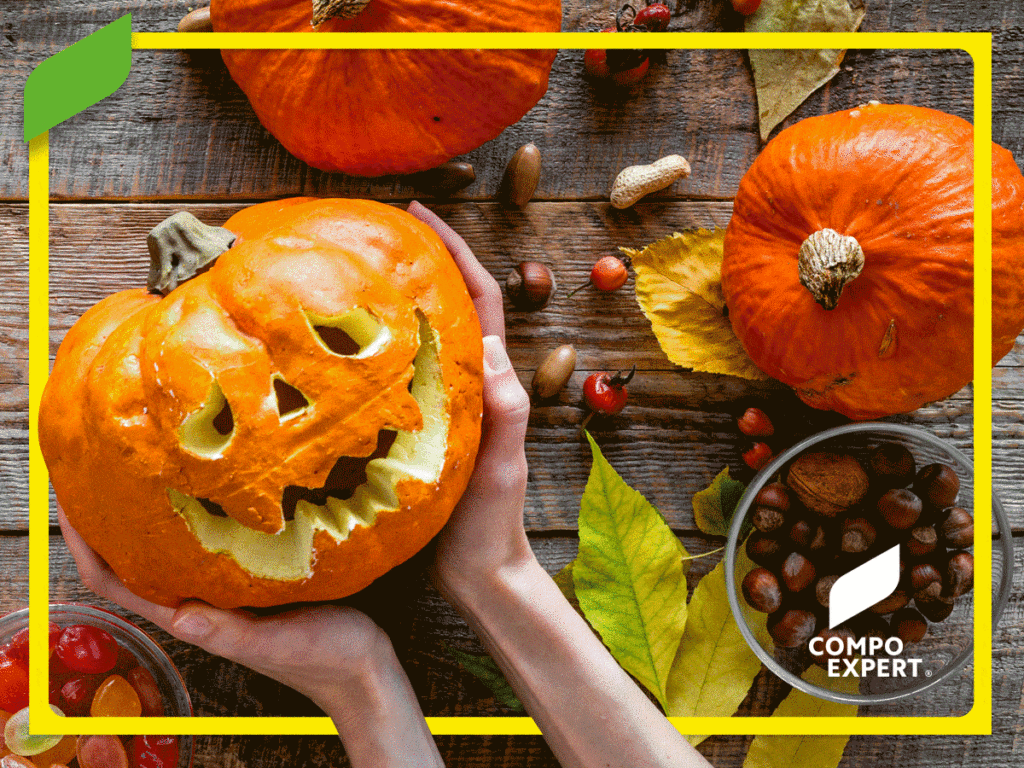 1200X900 Halloween 31Octubre Ok Compressor | HE LITTLE BIG FISH