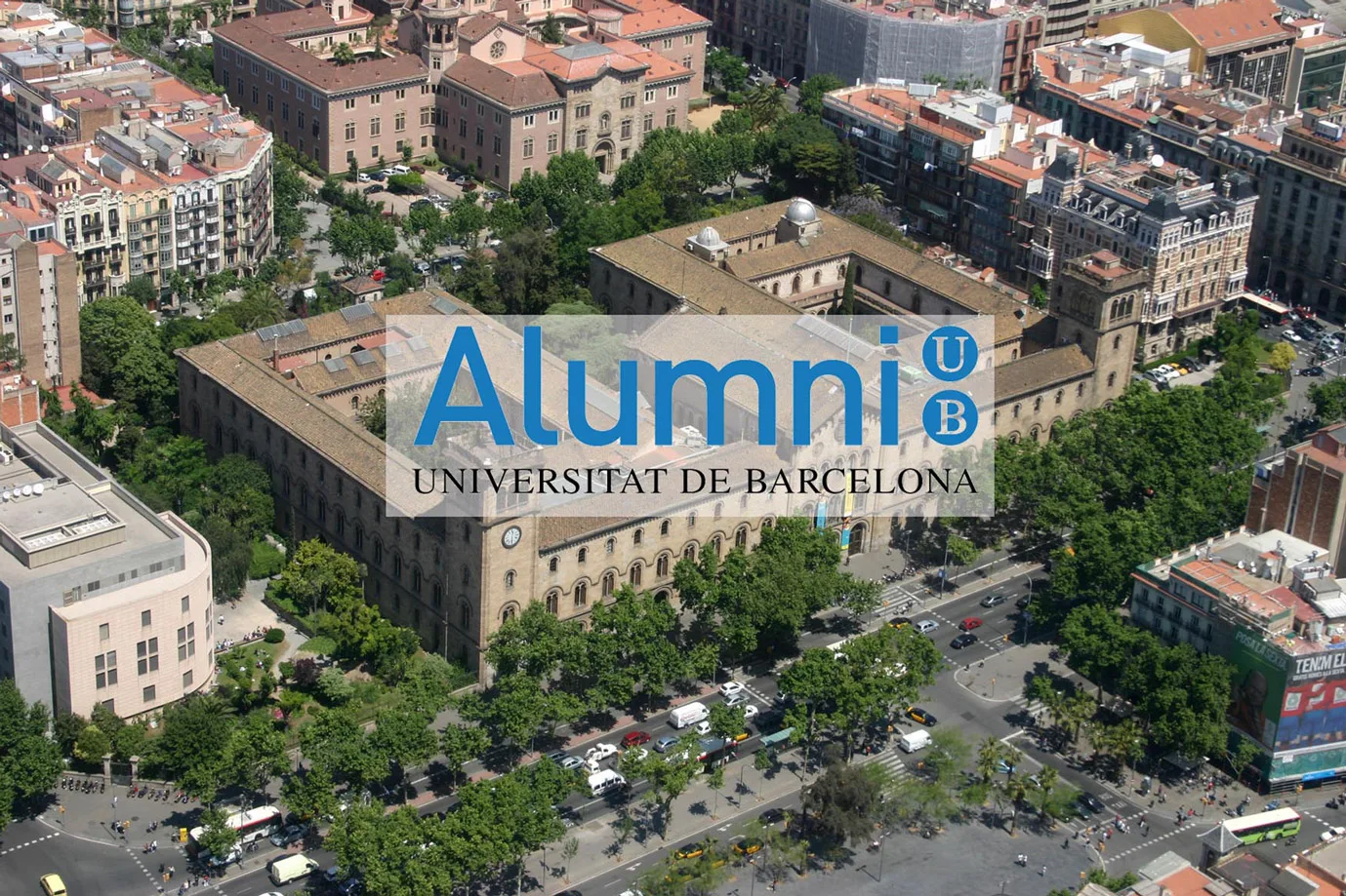 Alumni Ub C | HE LITTLE BIG FISH