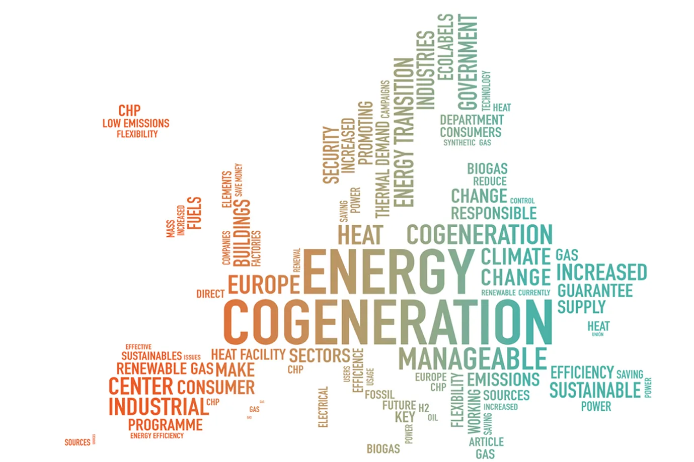 Cogen Es C Lbf Comunicacion | HE LITTLE BIG FISH