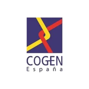 Cogen Espana Lbf Comunicacion | HE LITTLE BIG FISH